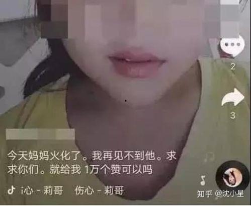 网红zls吃瓜视频,揭秘娱乐圈幕后真相