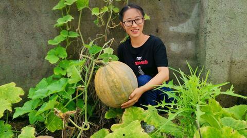 农村吃瓜网,揭秘农村生活百态，带你领略乡村风情